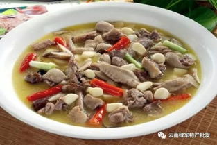 云南野生青頭菌