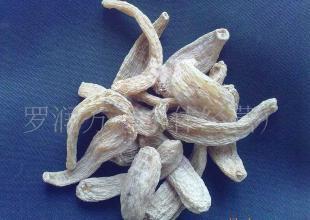 云南麗江天麻(目前接受預(yù)定,產(chǎn)期到可發(fā)貨)_醫(yī)藥、保養(yǎng)_世界工廠網(wǎng)中國產(chǎn)品信息庫