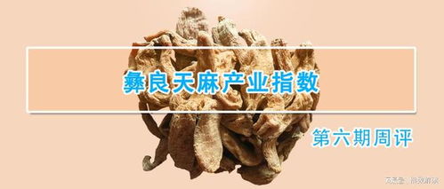 彝良天麻產(chǎn)業(yè)指數(shù)第六期周評