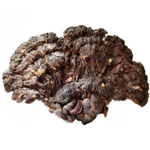 探秘天麻野生特級(jí) 功效、市場(chǎng)與選購(gòu)指南