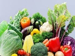 無(wú)錫蔬菜配送中心 現(xiàn)代都市農(nóng)業(yè)與高效供應(yīng)鏈的苗木根基